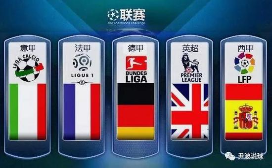 它虽不像象